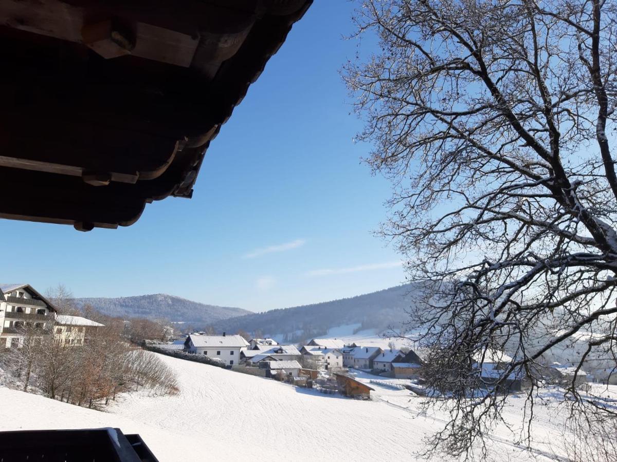 Ferienwohnung Freudensee Im Bayerischen Wald - Pool, Sauna Hauzenberg Bagian luar foto