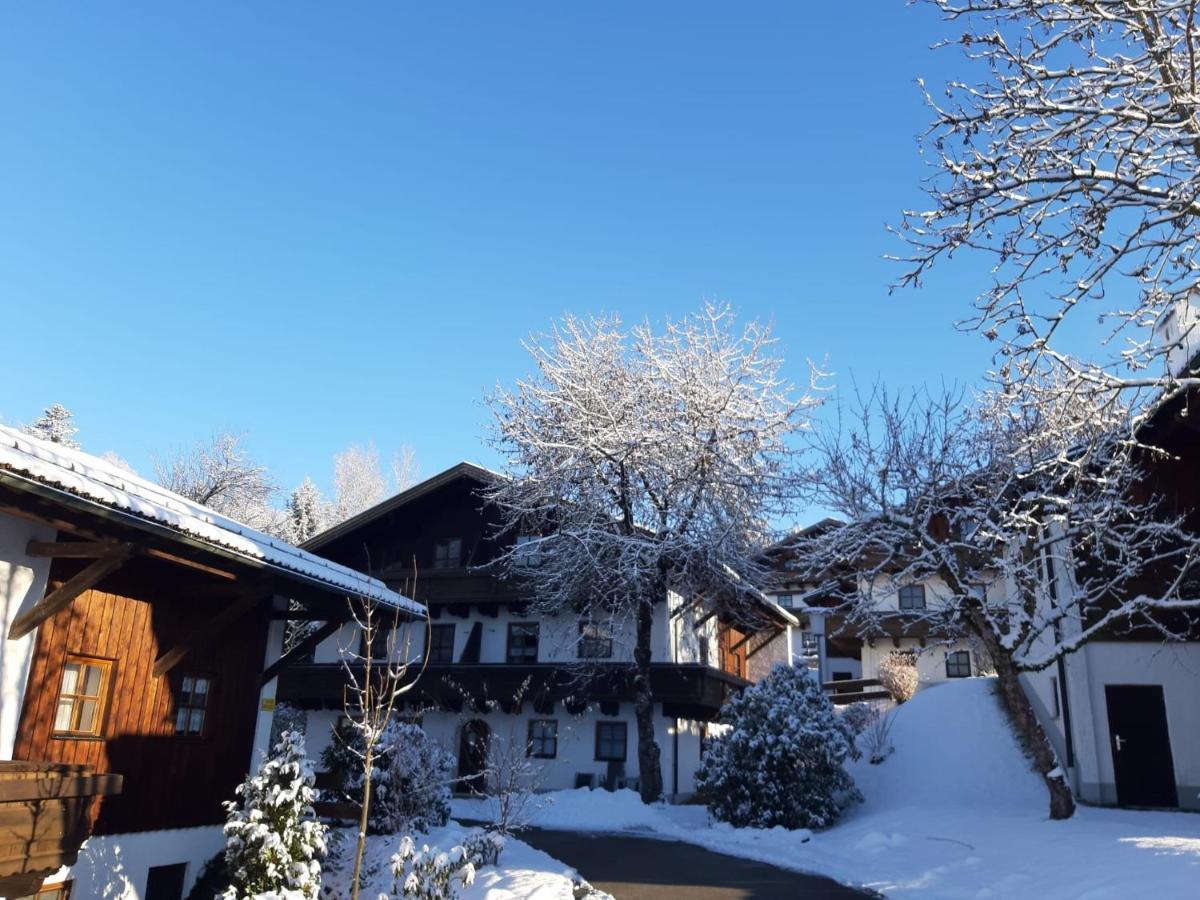 Ferienwohnung Freudensee Im Bayerischen Wald - Pool, Sauna Hauzenberg Bagian luar foto